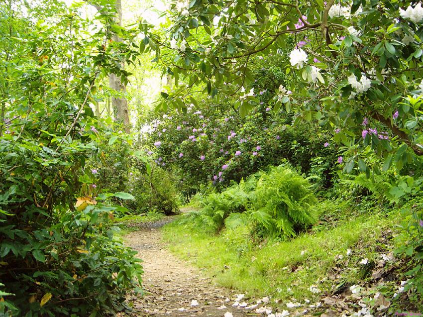 Fond d'cran Nature