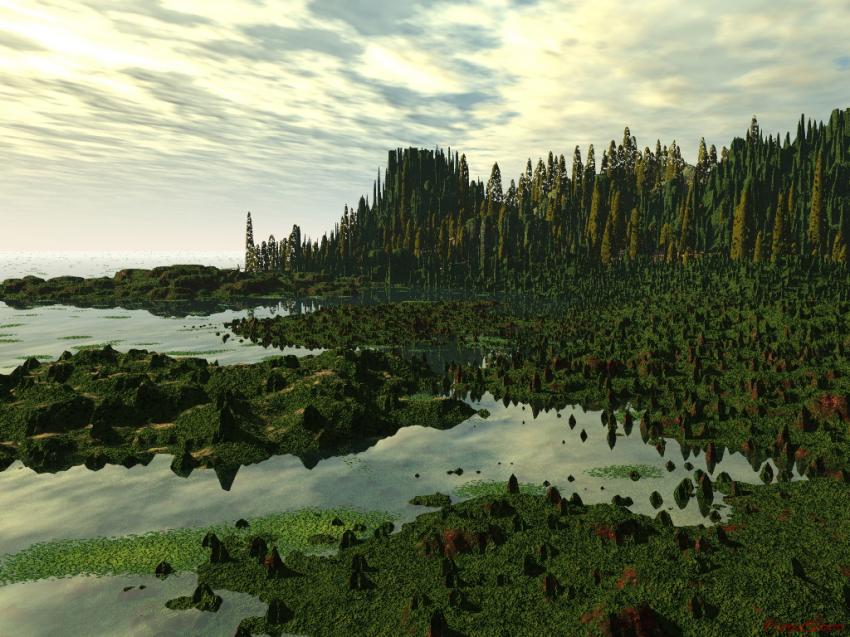 Paysage