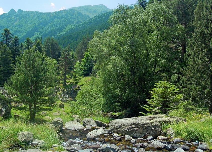 Paysage .. 33