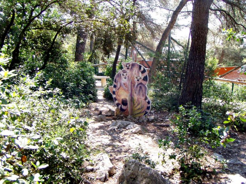 zoo