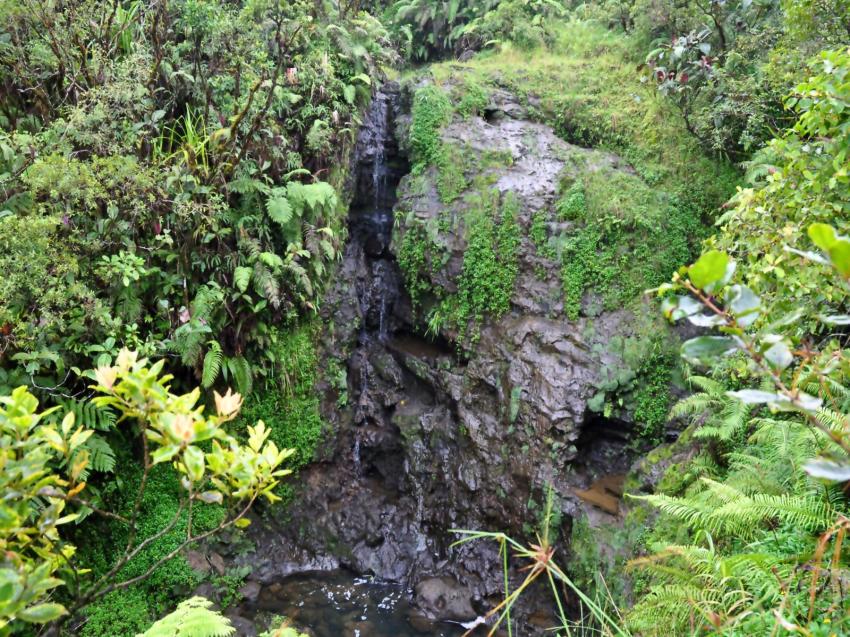 Cascade
