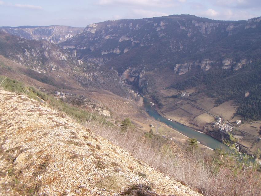 vers les vignes