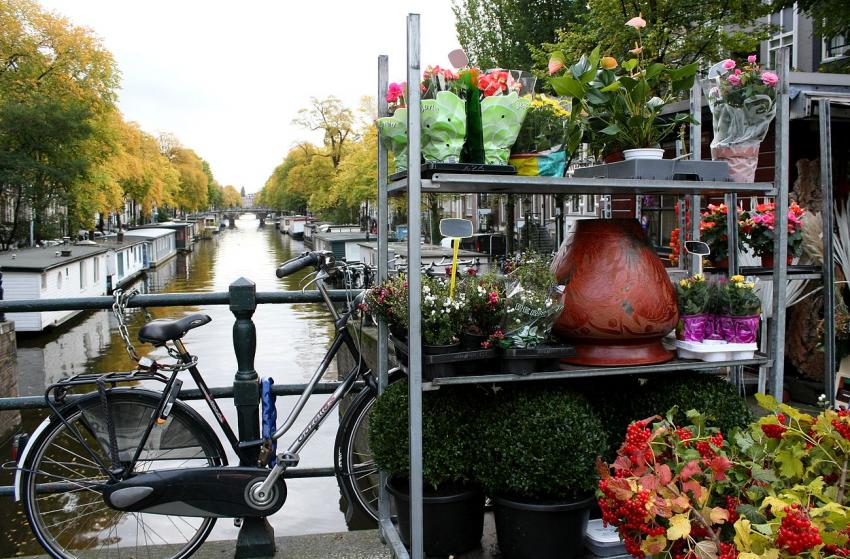 Amsterdam (78) Le vlo et les fleurs