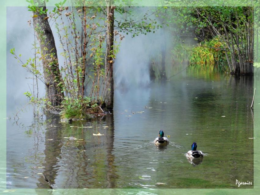 Les jardin du clos Luc