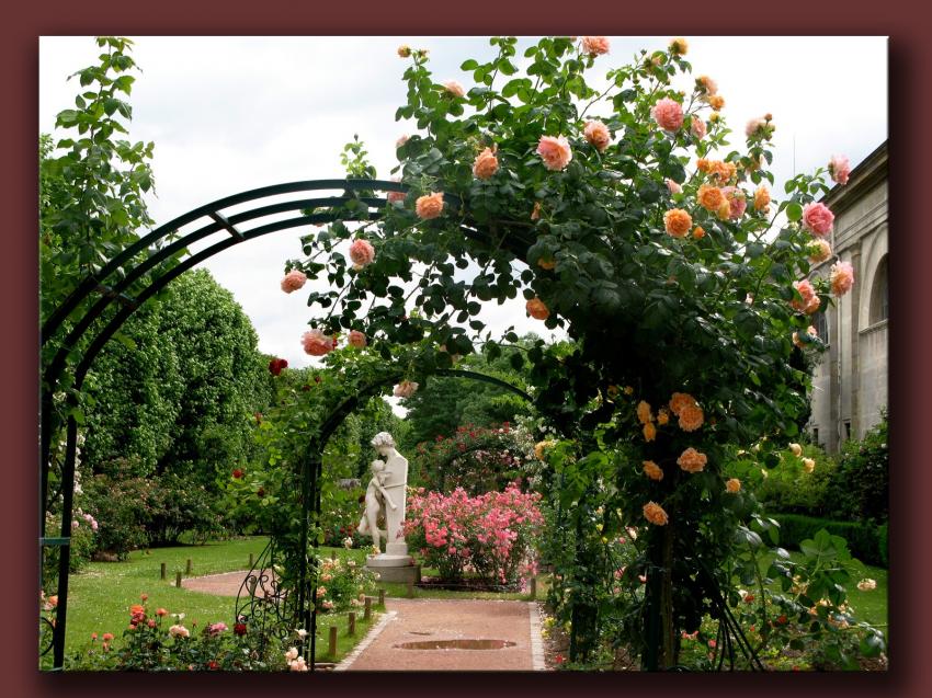 Jardin des plantes 