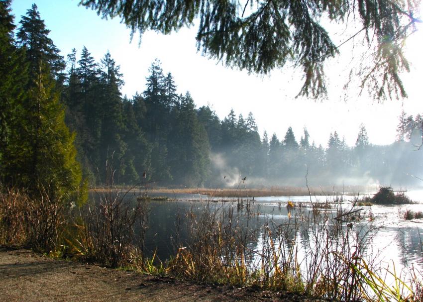 Beaver Lake au Stanley Parc de Vancouver