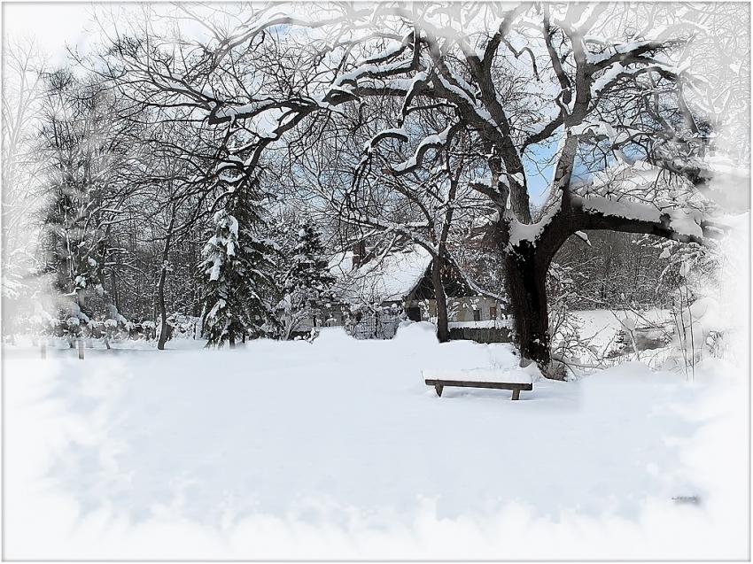 Hiver 2