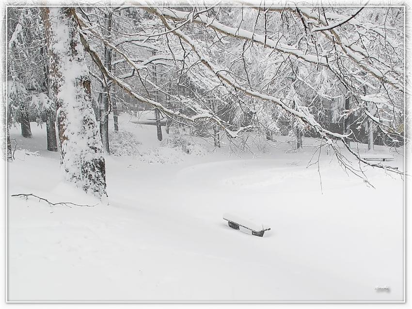 Neige 13210b