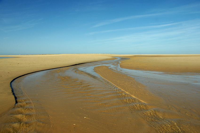 Banc d'Arguin
