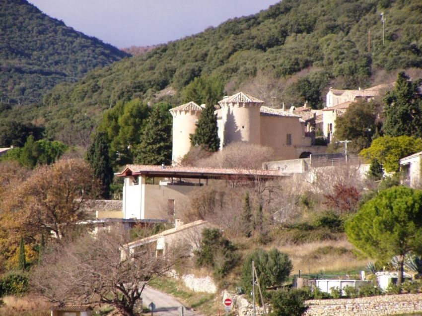 arboras