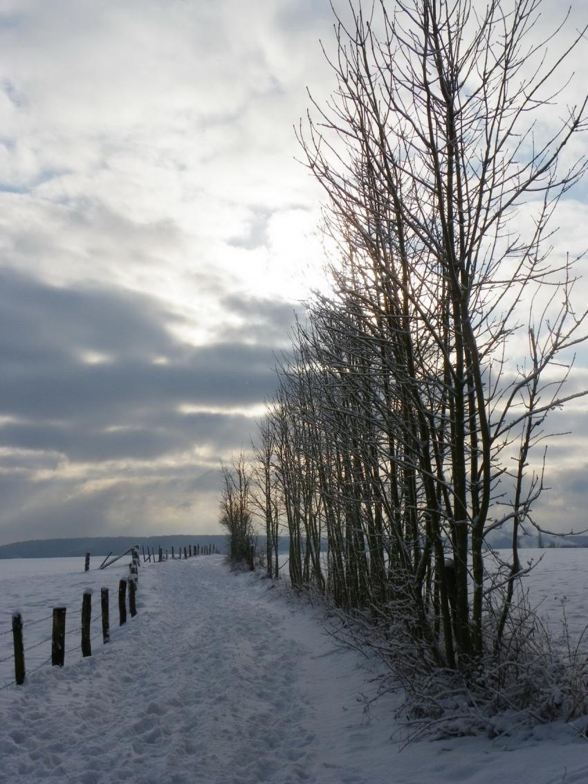 Chemin hivernal