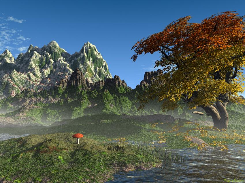 Paysage