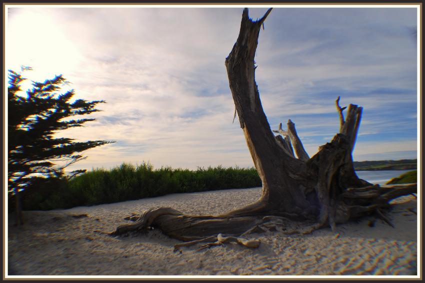Carmel (Californie)