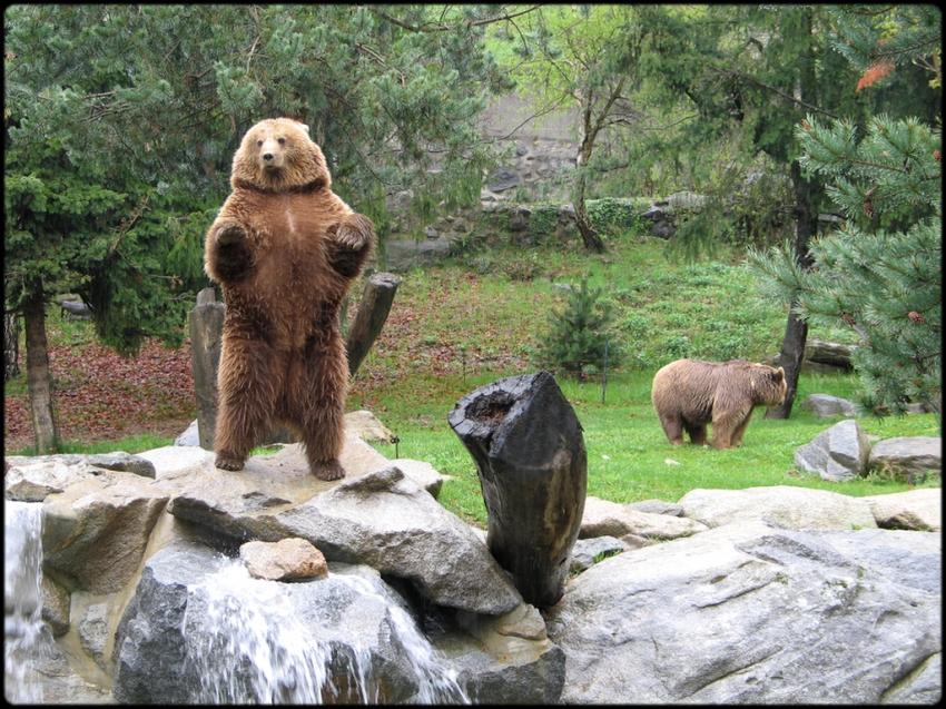 Parc animalier d'Argeles Gazost...