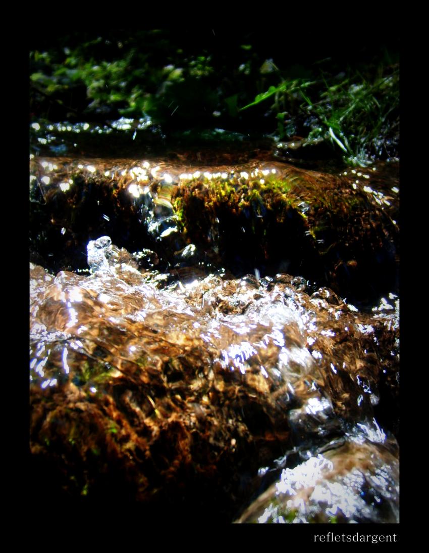 fracheur de sous-bois