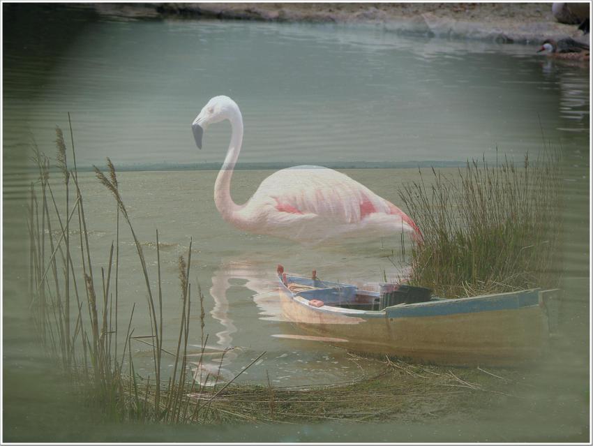 Au bord de l'Eau.........