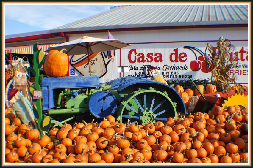 Tracteur et Halloween