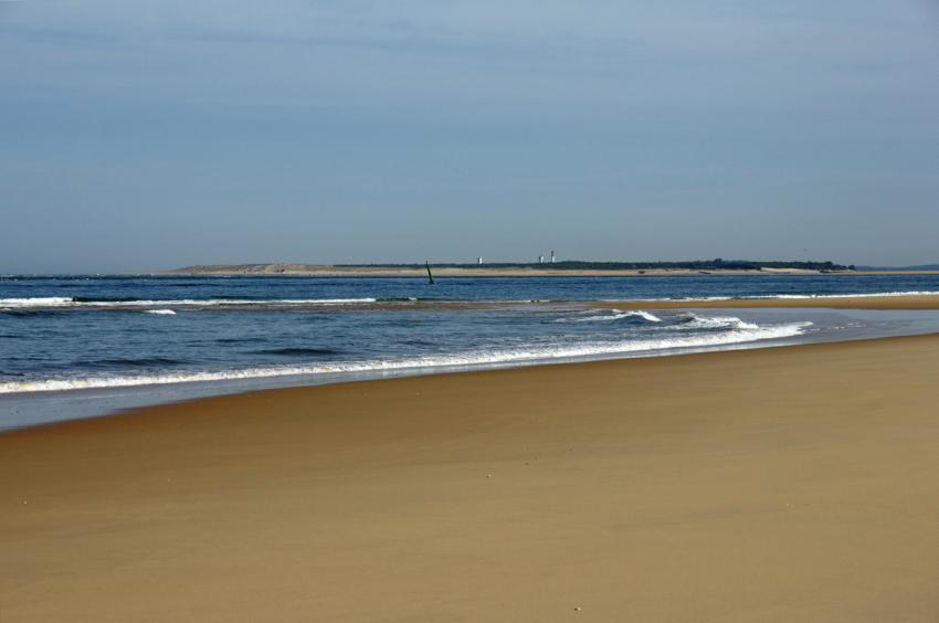 Banc d'Arguin
