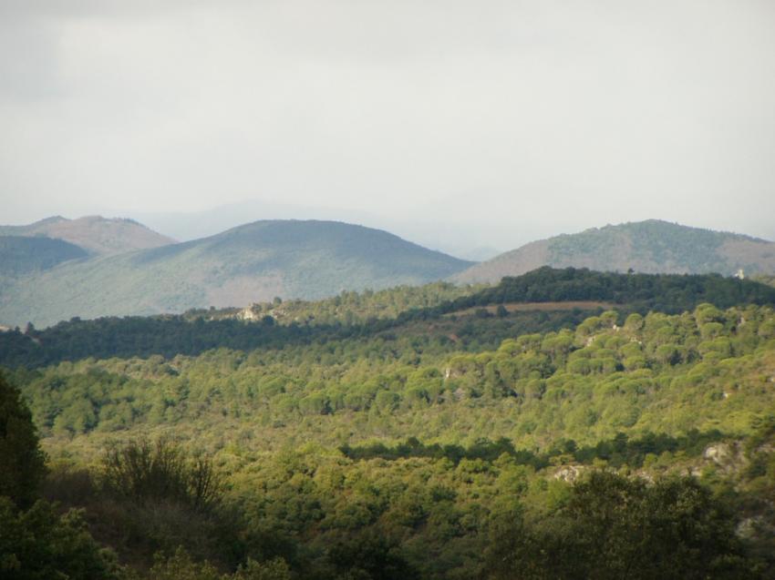 montagnes vers bedarieux