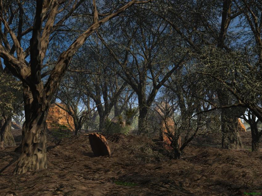 Arbre et Fort 