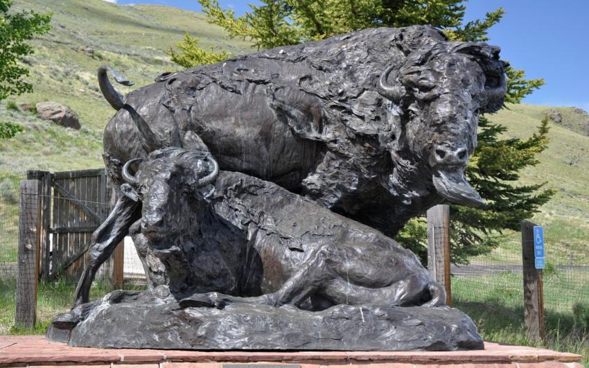 Couple de bisons