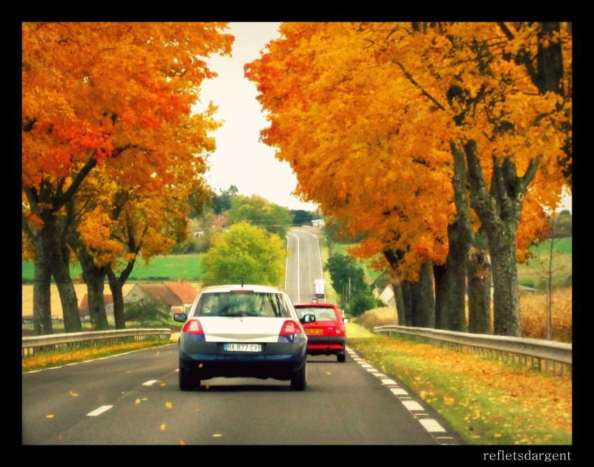 route d'automne