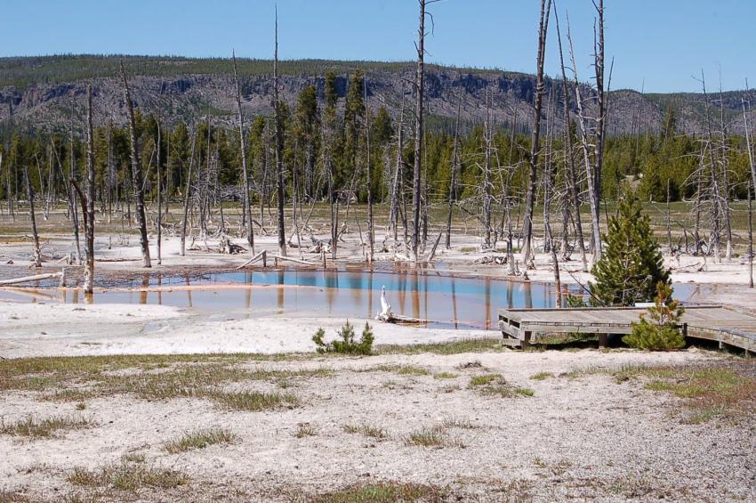 Geyser
