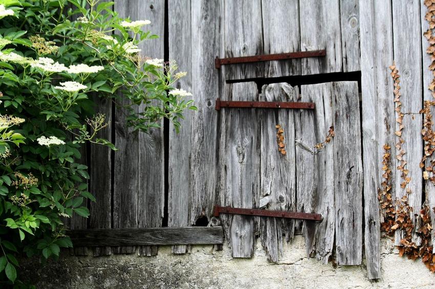 Portes (18) :Petite porte d'une ancienne ferme de 