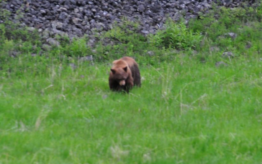 ours
