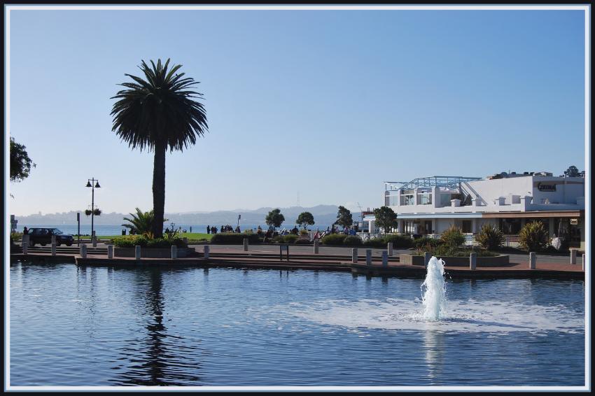 Tiburon (Californie)