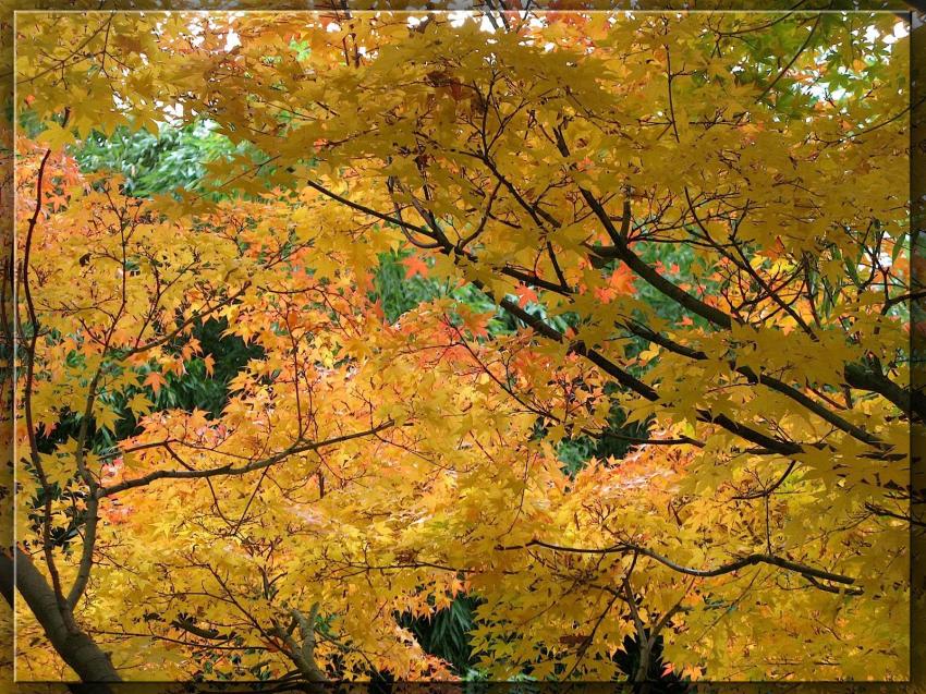 Couleurs d'automne
