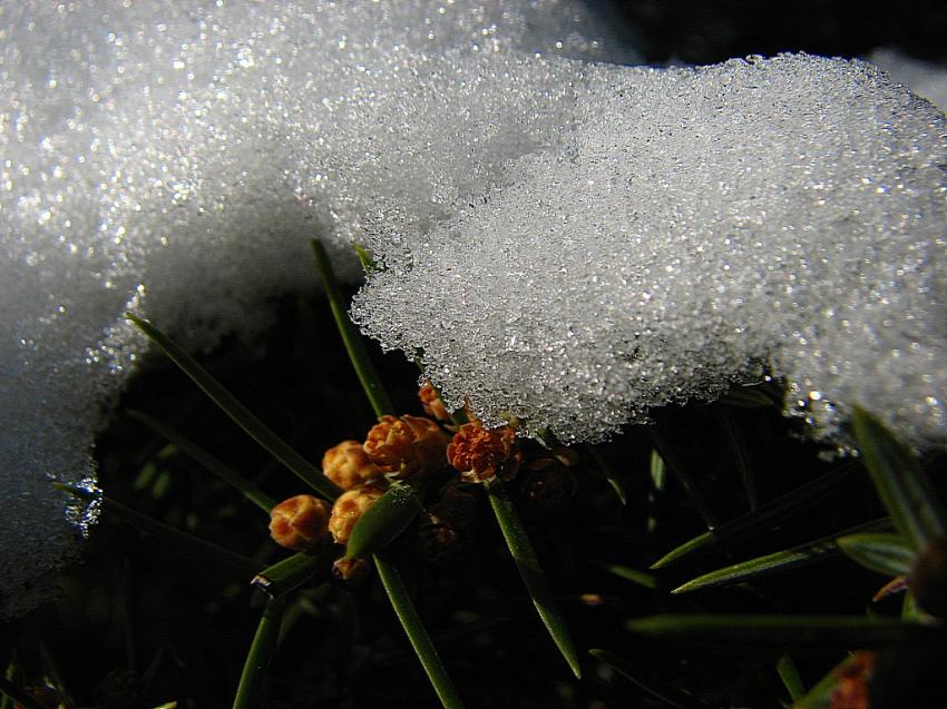 Neige en Tricastin 