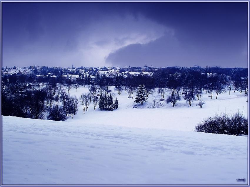 Hiver 28110 3