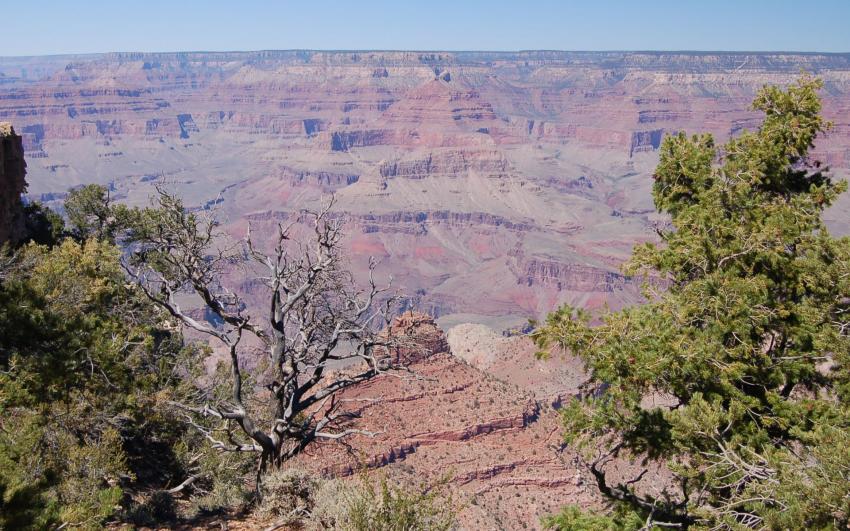 Grand Canyon