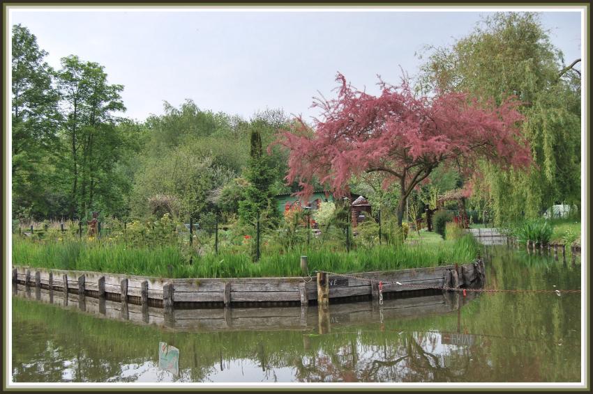 Amiens (80) Les Hortillonnages