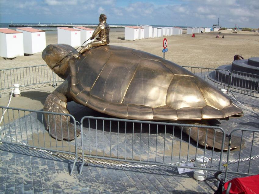 une autre vue de la tortue