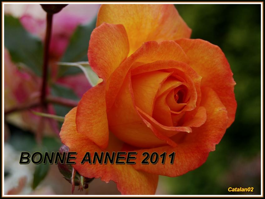 BONNE ET HEUREUSE ANNEE 2011