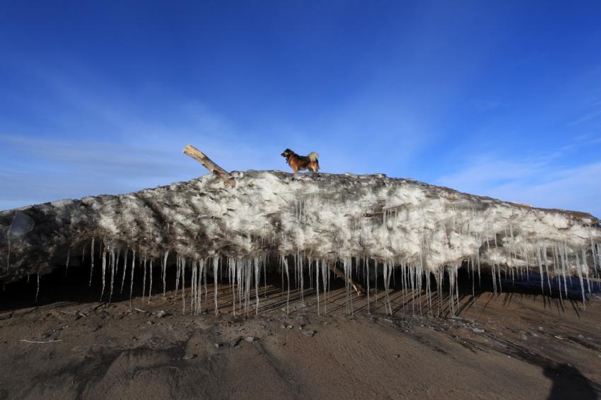 Glace et pas de neige