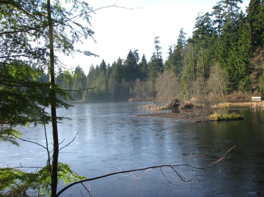 Beaver Lake au Stanley Parc de Vancouver