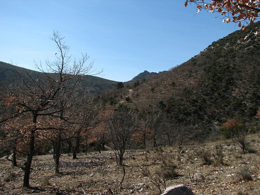 Canicule d'hiver au col de Linceuil .