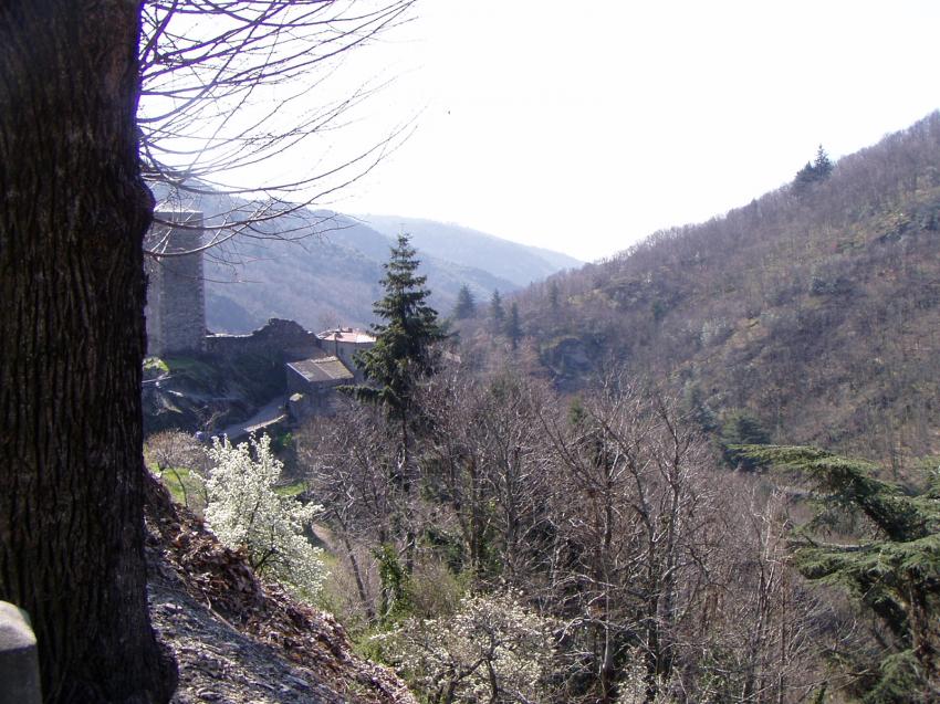 espinadiere