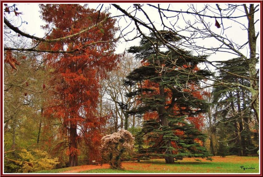 Chteau d'Azay le Rideau.