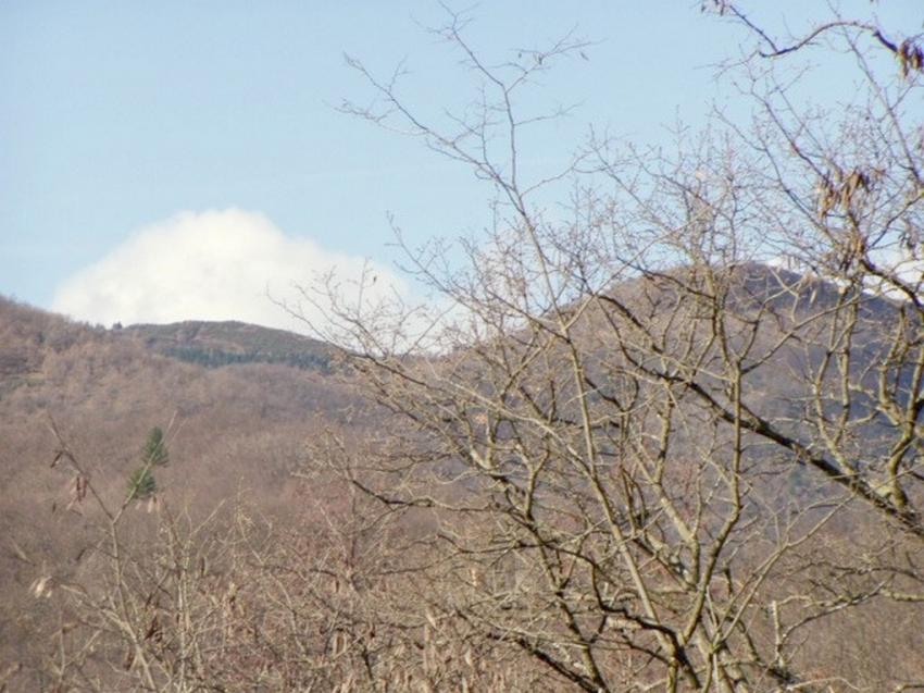 ver millau