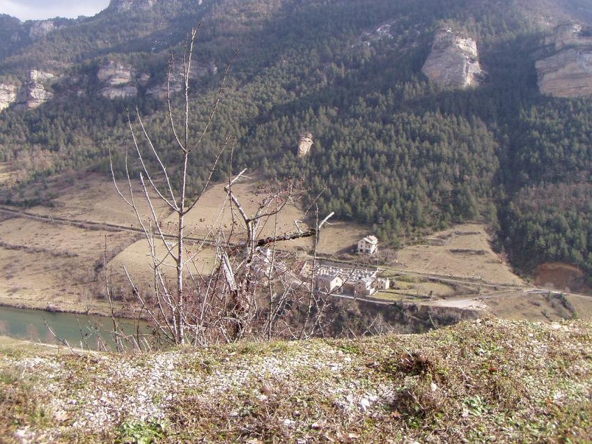 vers les vignes