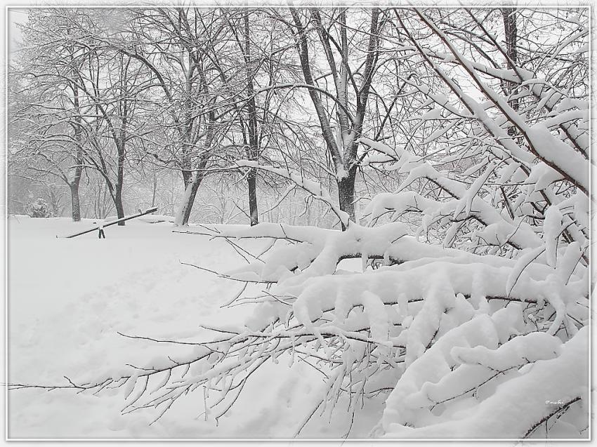 Neige 13210 4b