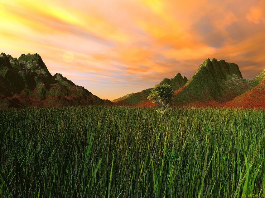 Paysage
