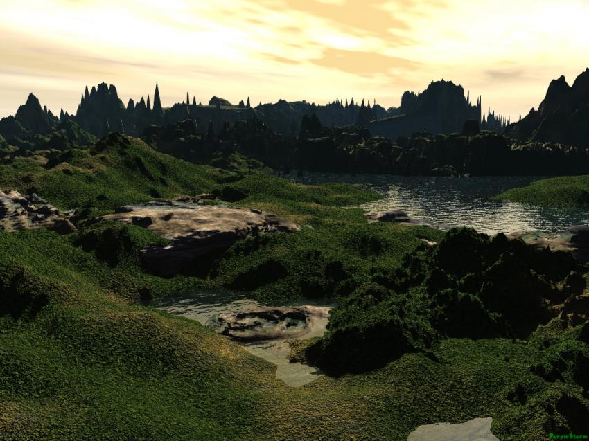 Paysage