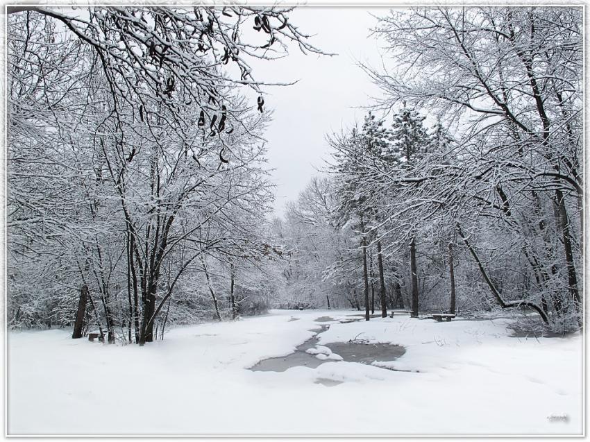 Neige 120310 2b