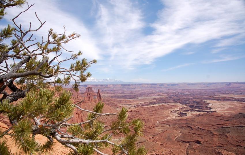 Un petit air d'immensit