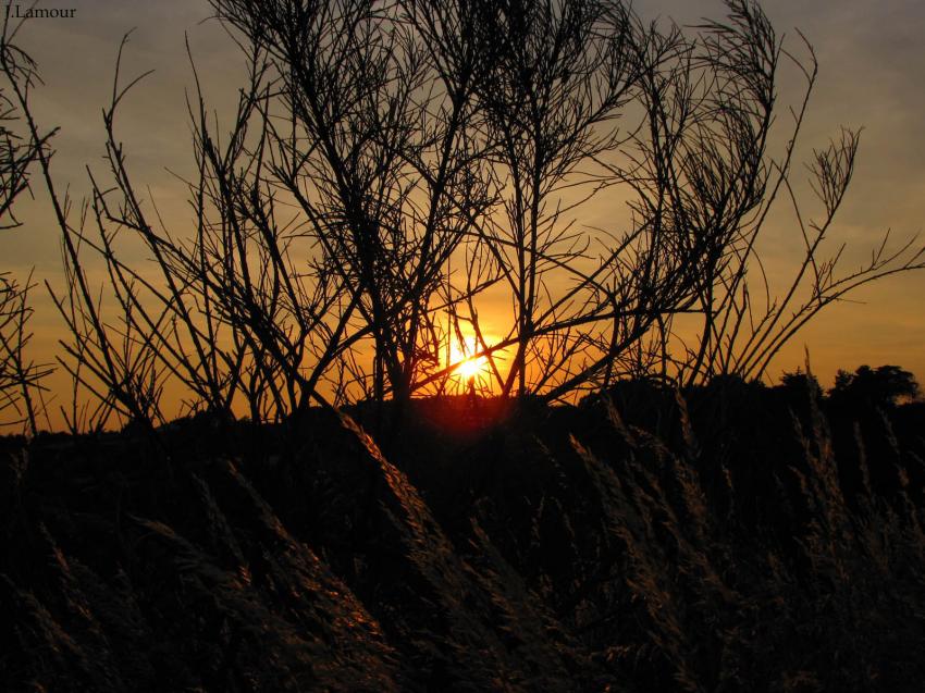 Quelques couchs de soleil...